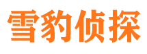 龙陵寻人公司